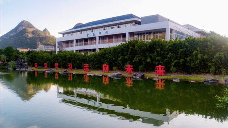 继电器：揭秘其背后的技术奥秘与选购要点