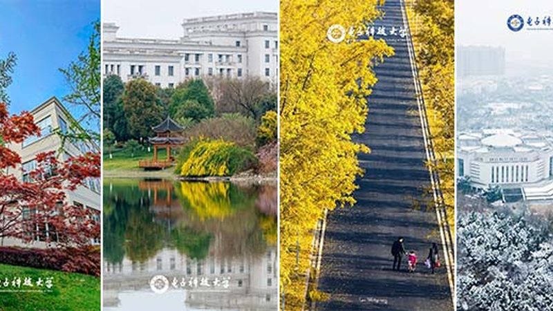 电子加工报价单生成软件：揭秘其核心功能与选型要点