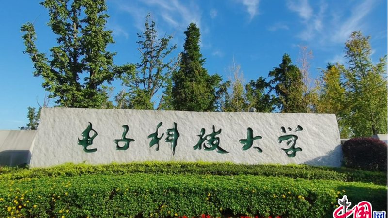 二极管品牌，揭秘行业佼佼者背后的技术实力